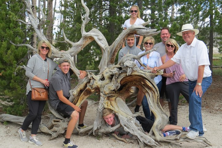 Yellowstone National Park - PRIVATE Full-Day Lower Loop Tour from W. Yellowstone - Photo 1 of 14